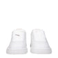 Burberry White Leather Low Tops